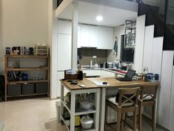Mon Jervois (D10), Condominium #346802471